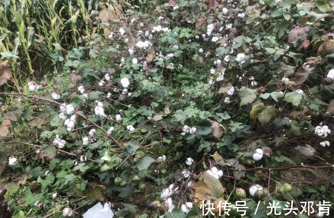 写生！著名画家王克举秋日大同浑源写生，描绘“心中的风景”