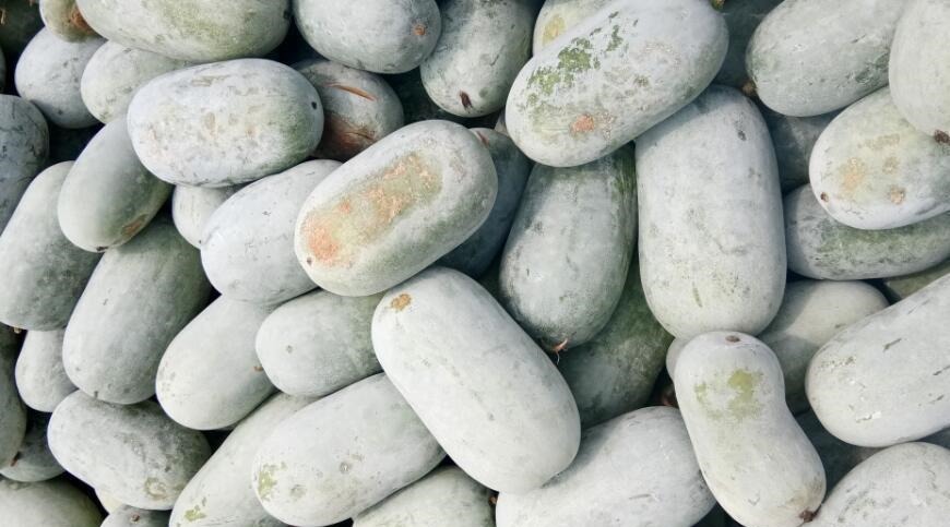 “此菜”几毛钱一斤,大爷一下买了50斤,煮一煮就值几十块一斤!