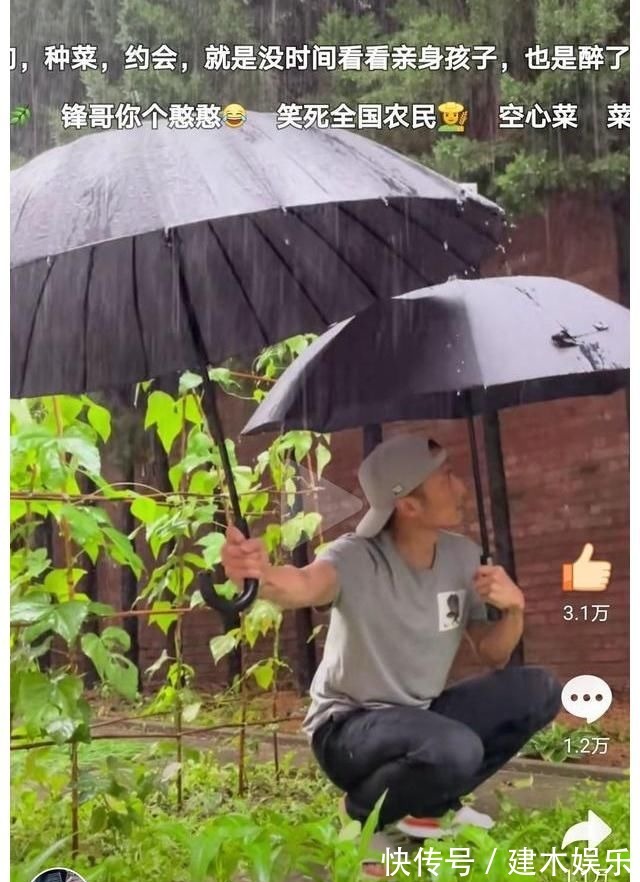 谢霆锋暴雨天给蔬菜打伞,引来6百万人围观,网友:这是什么操作