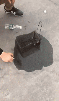 |搞笑GIF:妹子,你把我的步伐全打乱了!