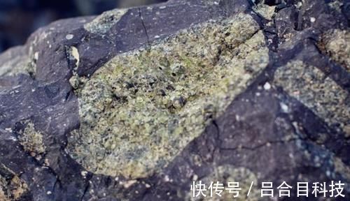 绿宝石|我国最大的绿宝石矿,原石遍地都是,随便你搬你都搬不完