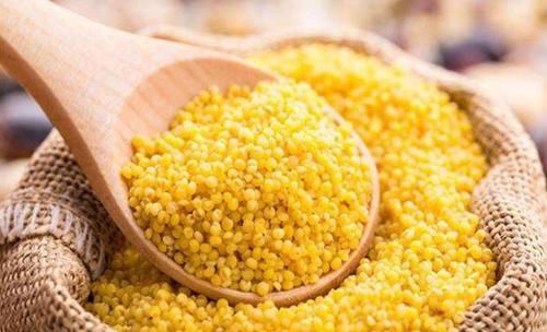  技巧|小米粥总是熬不粘稠？掌握5个技巧，小米粥粘稠好喝出米油