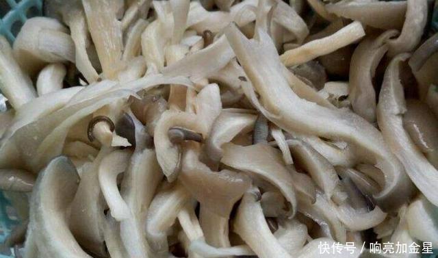 万万不可|炖鸡时,万万不可直接炖,多做两步,鸡肉鲜香入味,不腥不柴