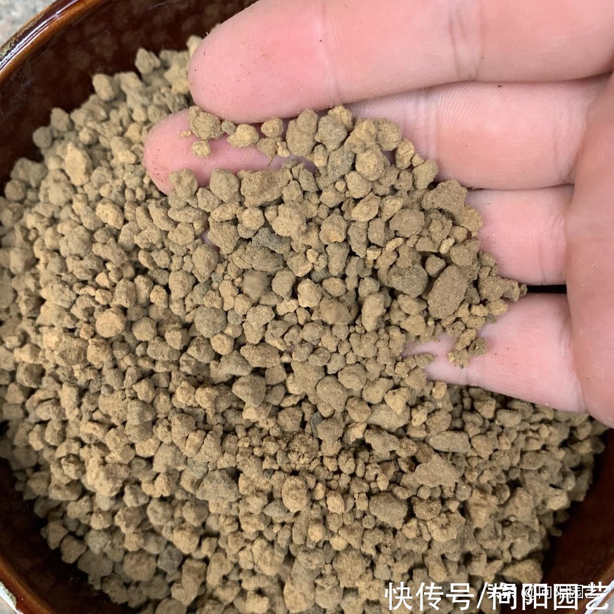水性|全颗粒养多肉！可行吗？当然可行，透水性好，多肉不烂根