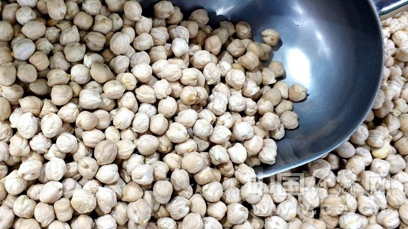  中国经济网|多吃这些富含锌的食物 在冬季增强免疫力