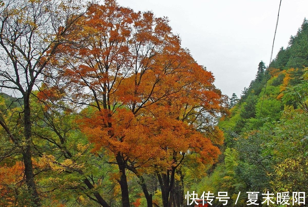 损!从《损》《益》二卦看《周易》的易道