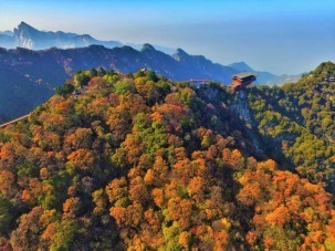 白鹿原|深秋去哪玩？陕旅“两山一原”邀你赏秋景啦~