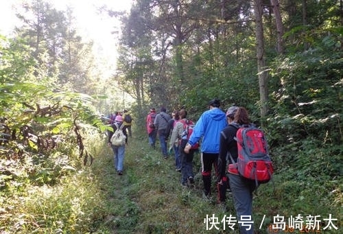 蟾月|雁叫云天气愈凉，茱萸遍插醉重阳。重阳节诗词