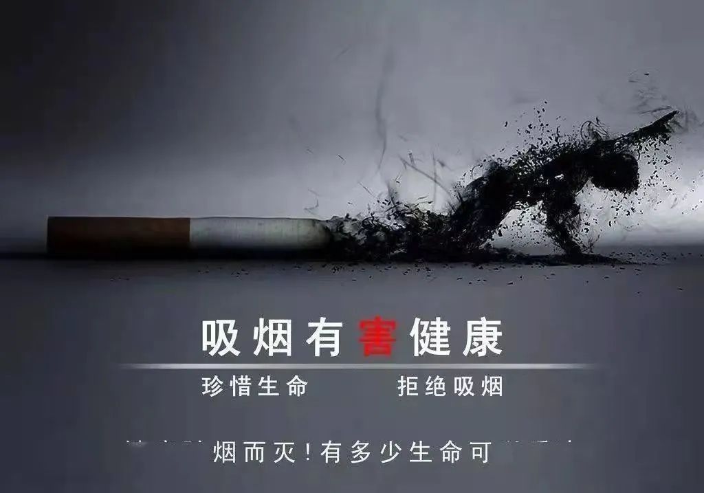 控烟|学习禁烟控烟知识，创造无烟党政机关