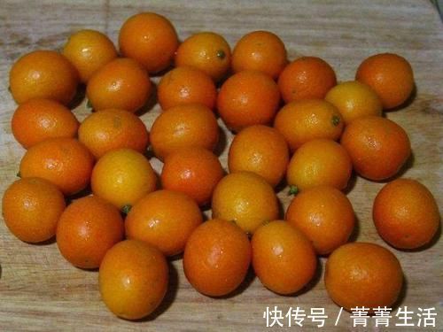 金桔|初秋易感冒咳嗽，一物煮着吃，每天吃一勺，管咳嗽两三年不复发