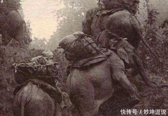 成吉思汗|成吉思汗用了一招让士兵不饿肚子,日本也效仿,结果饿死5万人