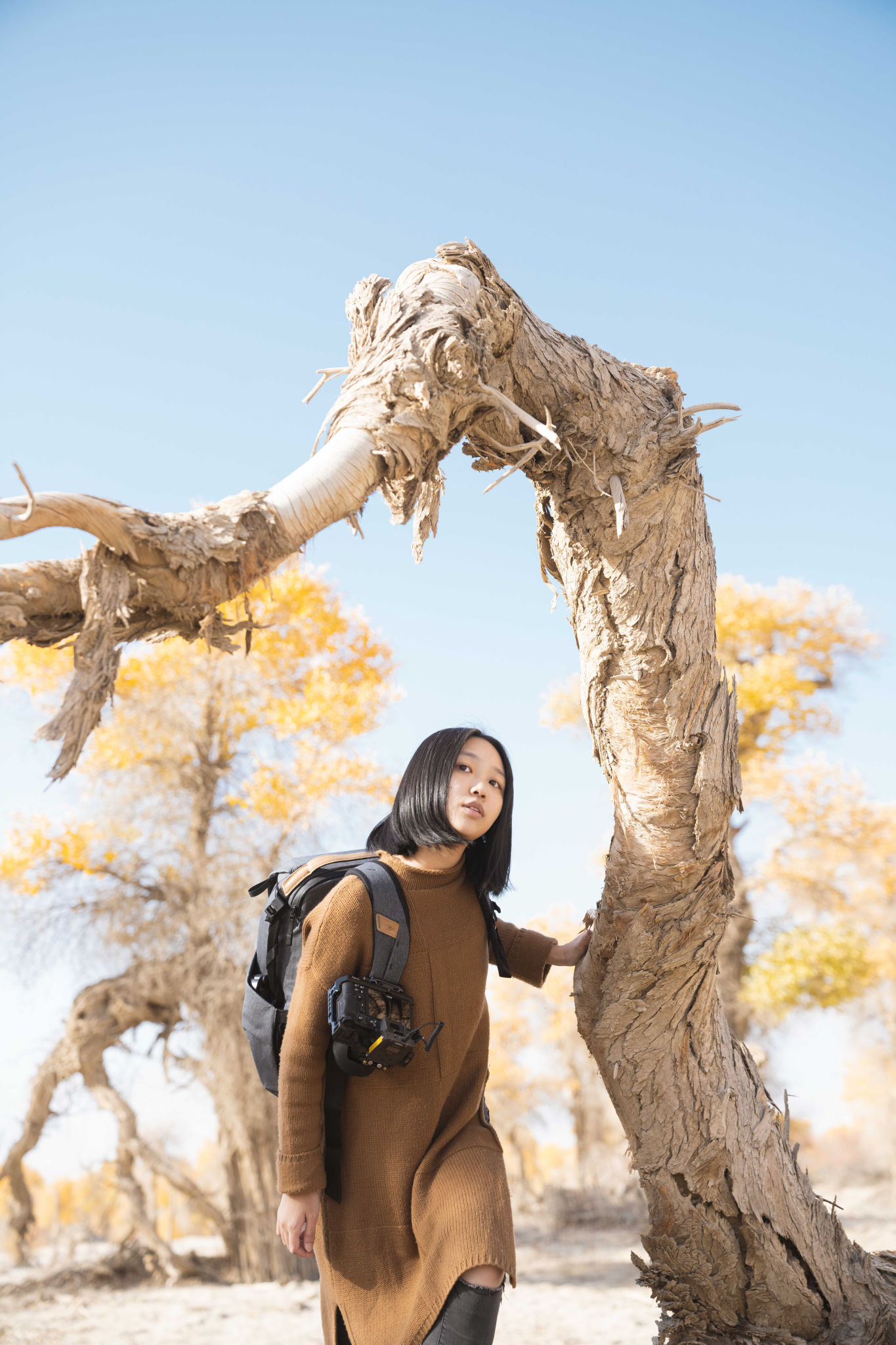 棉花|穿越塔克拉玛干沙漠，遇见大漠里的金秋 — 自驾南疆10日行摄