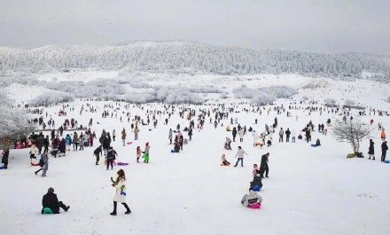 武隆游|虎年新春武隆游，玩雪赏景好安逸！