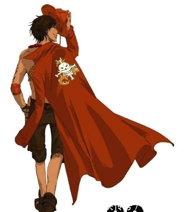 队长|海贼王:白团16位队长简介,顶上战争中放水的有几位?