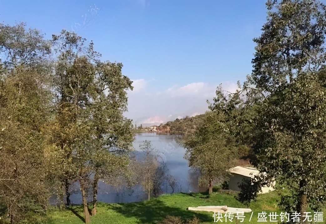 钓技再高,没鱼也白瞎钓点是否有鱼,看这二点足够!——盛世三渔