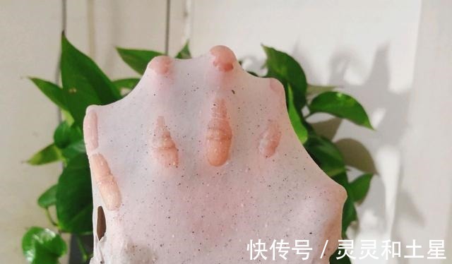 吸油纸|黑米别用来煮粥，做成面包，好吃又美味！