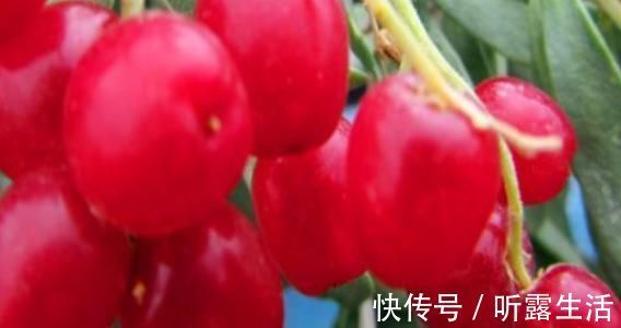 bet女性若是爱美常吃“4物”，排出体内毒素，养护血管，缓解经痛！