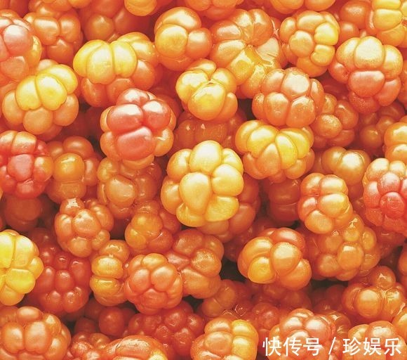 快乐食品|很有营养的3种食物,值得天天吃一些,淡化皱纹、美白护肤!