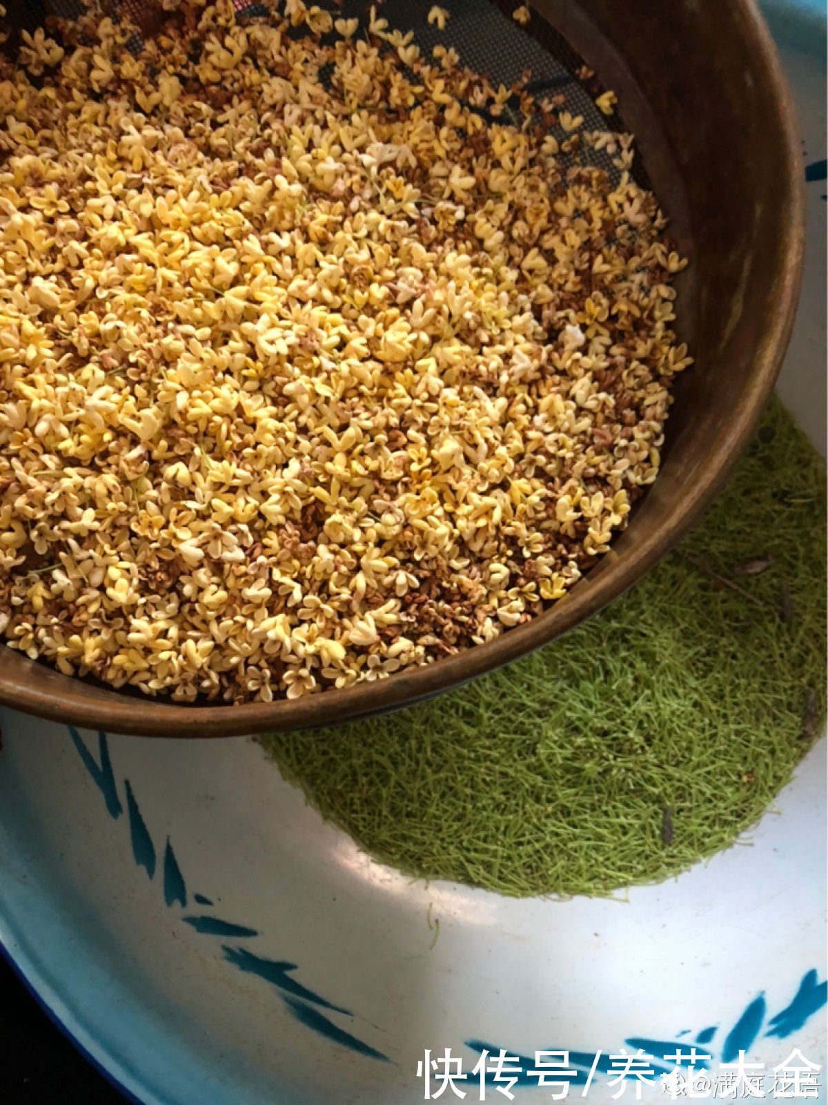 金银花|老中医爱养的4种花,堪称植物“百宝箱”,养人养身心