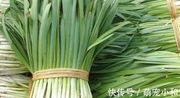 去买菜时遇到这种韭菜，你可不要买，菜摊老板自己都不吃！
