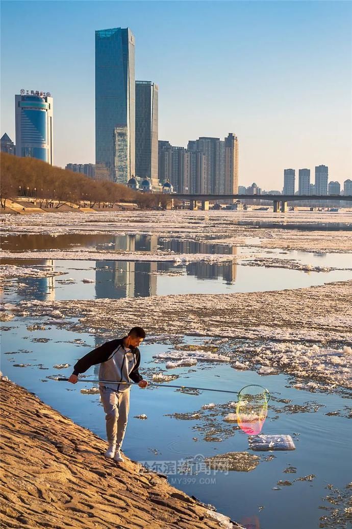 这才是最美的“快消”｜冰城特供，只此一季#超多美图【网络中国节·清明】