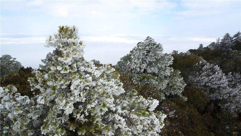 雪后的鸡足山 化身梦中仙境