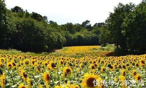 双鱼座|未来1天，钱财无忧，遍地生情，压力全消，喜事连连