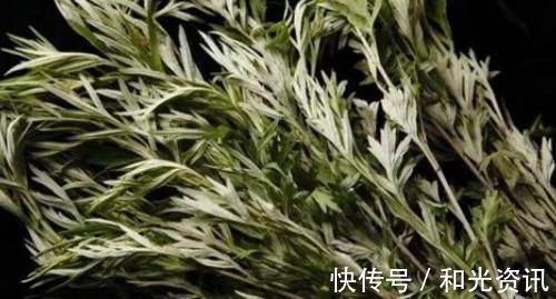 艾草煮鸡蛋|一把艾叶二两酒，腰腿疼痛绕道走，颈椎病、关节炎、腰腿疼也管用