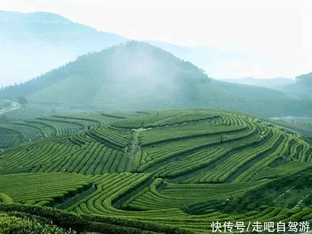 最接地气的小众自驾旅行路线，人少景美，春暖花开值得安排