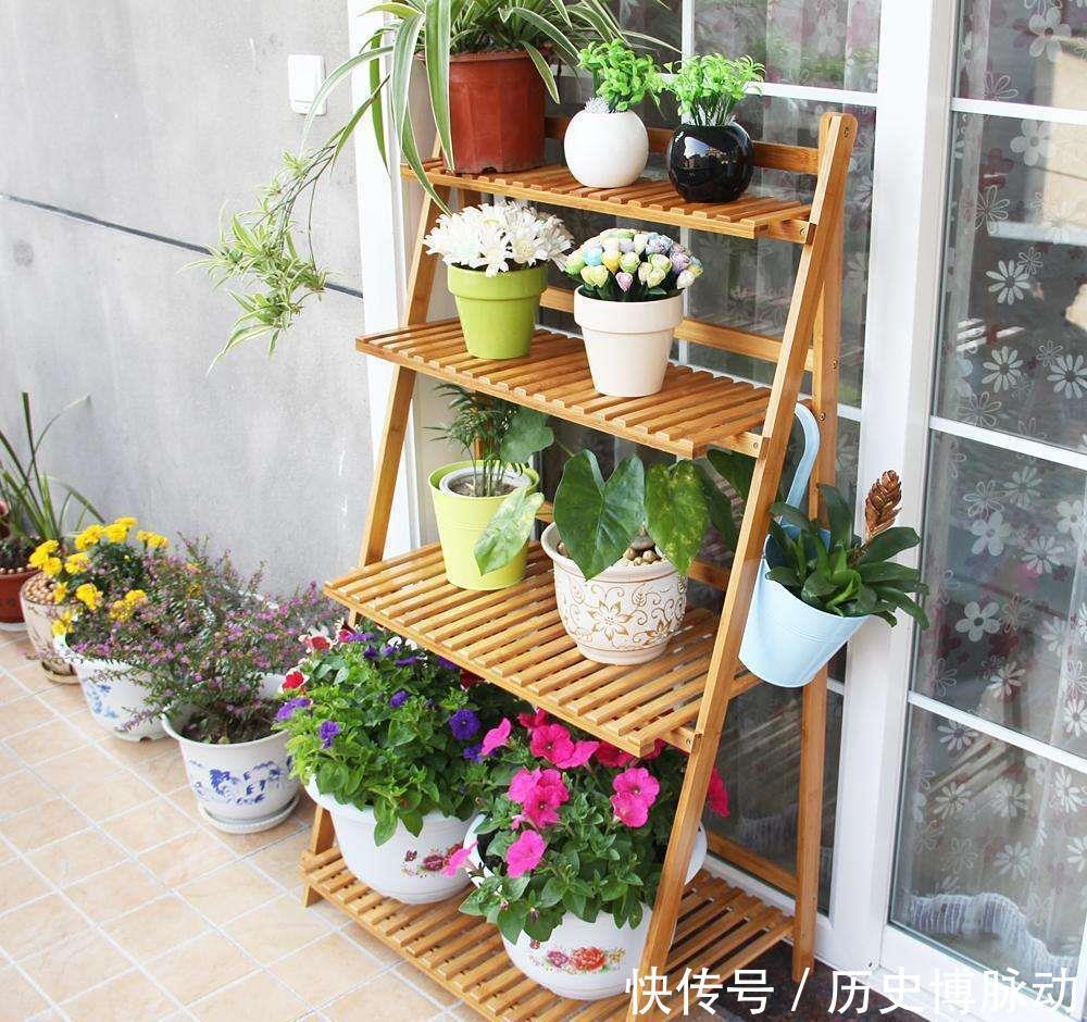 养花必备小工具,让养花变得更简单,便宜又好用!