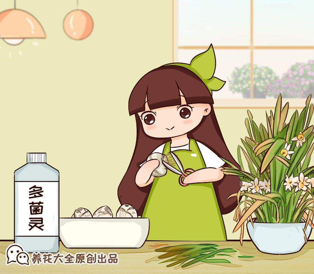  家里的养花土生虫子？学会这几招，什么虫子都不用怕了