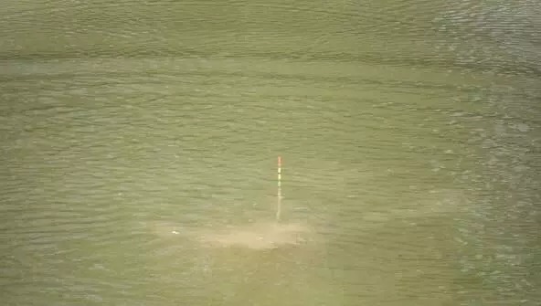 调高钓底和调低钓高,字相同意不同,搞错了的后果就是钓不上鱼