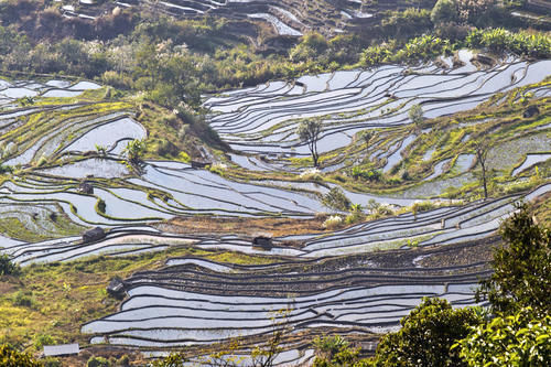 梯田|山势最险峻复杂、气势最恢宏壮观，大地雕塑最高典范，老虎嘴梯田