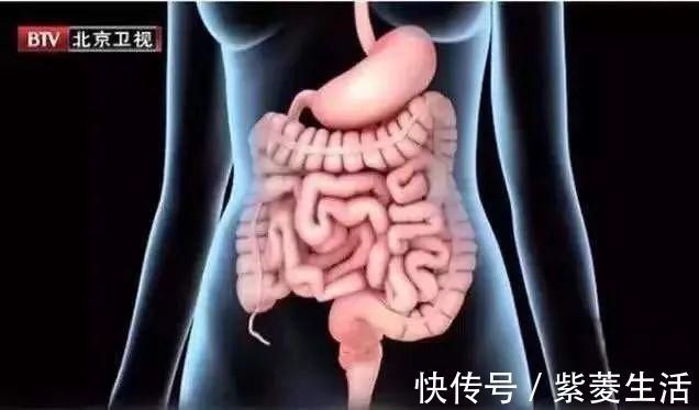 祛皱|藏在身边的“天然护肤品”,黑发、祛皱、美白……少花钱也能养出好皮肤