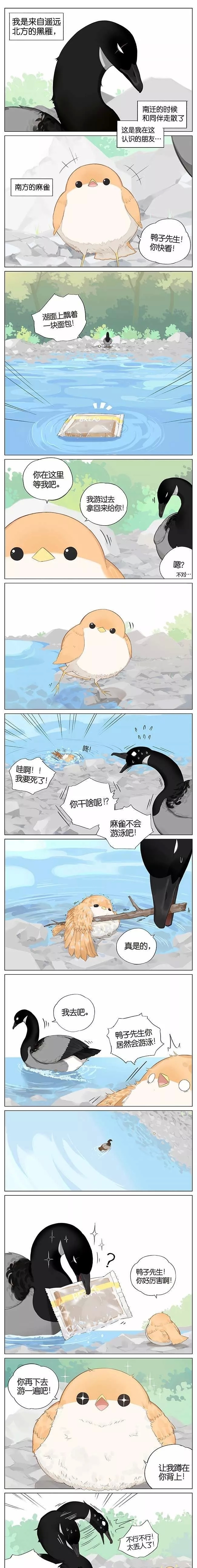 《人性漫画》想游泳的麻雀