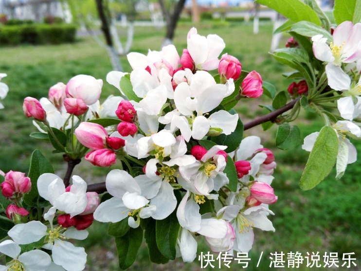 子女福|最有“儿女福”的三个生肖女，孩子个个有出息还孝顺，超乎想象