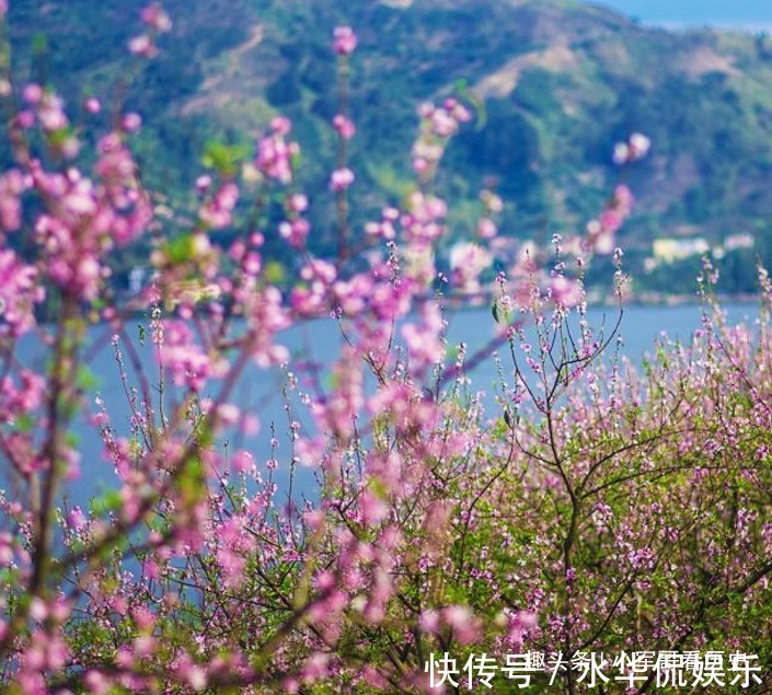 子女|越老越值钱的四生肖，晚年能够坐享财富，子女后代非常孝顺！