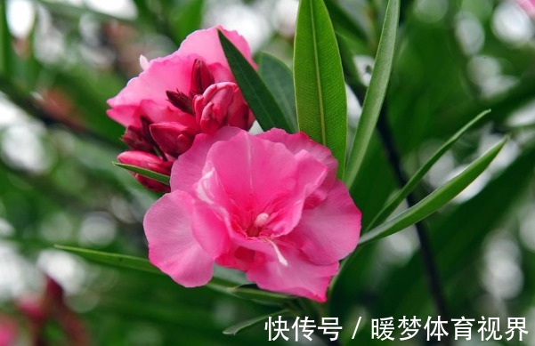 技巧#俗话说:言多必失,学会4个说话技巧,从此福从口入、财从天降!