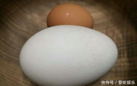 鹅蛋|经常吃鹅蛋有什么好处蛋白质维生素无机物丰富的