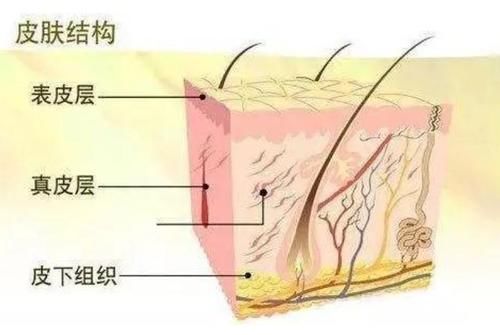 为何老年人身上有味道？提醒：40岁后做好3件事，老了没“味”