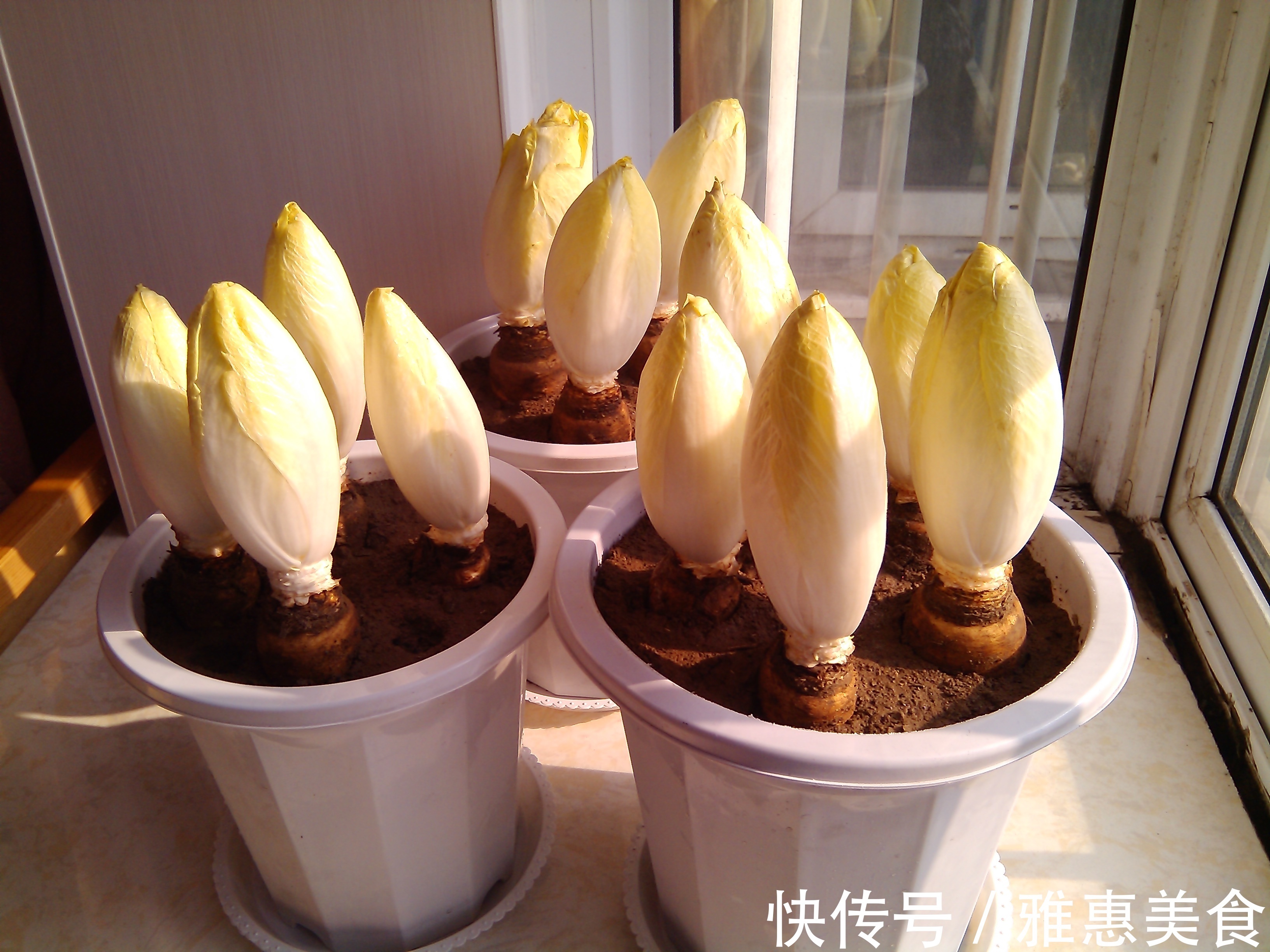 血糖|糖尿病有3个“死对头”,经常吃些,让血糖蹭蹭降,胜过胰岛素!