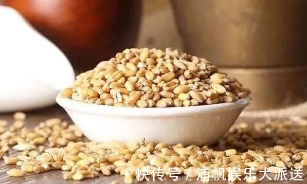 养心除烦|一味中药煮水喝,养心除烦,益气固表,自汗、盗汗都能治!