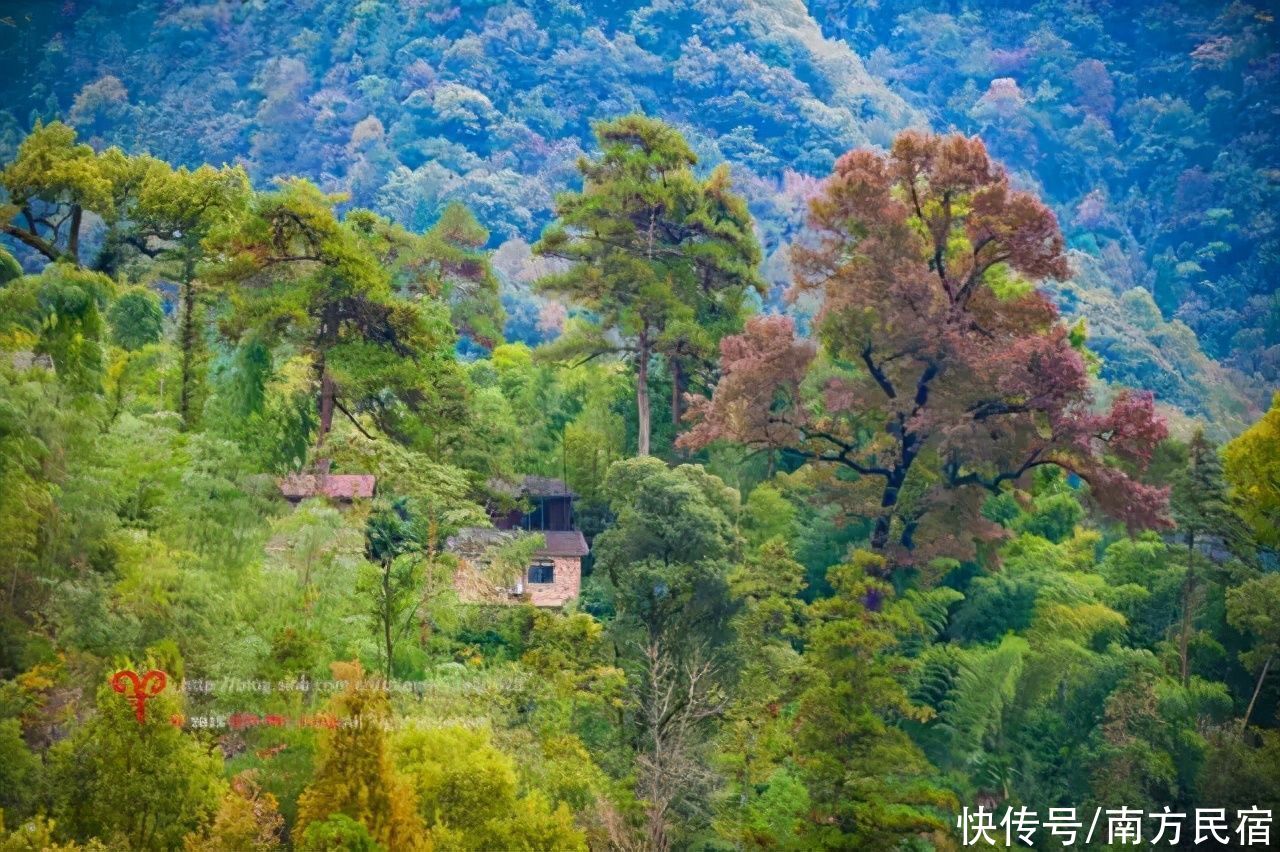 杭州市区|杭州天目山脚古寺旁这家最新禅文化精品民宿丨斐文禅意·上客堂