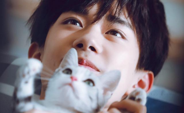 马虎|“公”姓爸爸喜得三胞胎,爷爷随口取名,民警:以后来我这上班