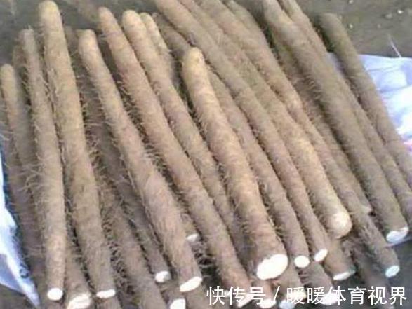 多吃|买山药,不要只会看粗细,学会这4招,挑到好山药,会买了多吃点