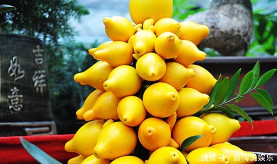 清热解毒|三伏天不容错过此野果,清热解毒,止咳消炎,治脚气,你认识吗