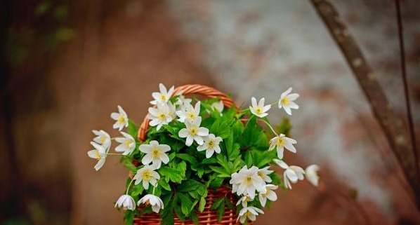 教养&一个人深到骨子里的教养,都藏在这25个为人处世的细节里,别不信