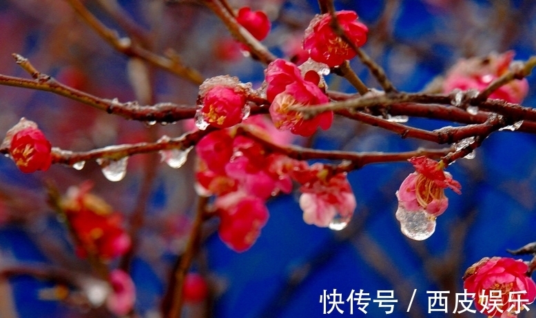 诗家词人$风雪寒天、冬夜漫漫,常人梦正酣,却有诗家词人辗转反侧为哪般?