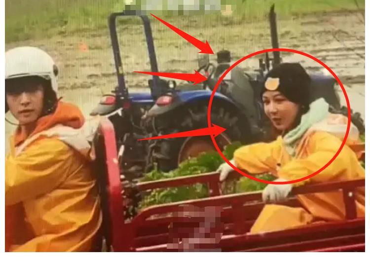 《向往5》節(jié)目組真敢請(qǐng)，把兩位最懶嘉賓放一起錄節(jié)目，熱鬧了！