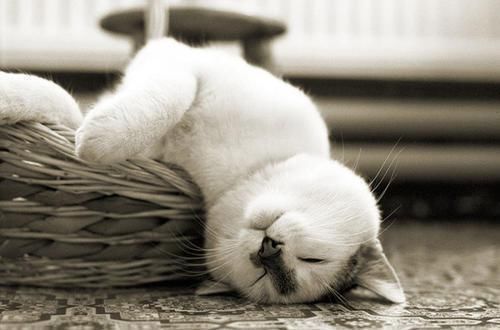 六六大吉|生日尾数是几的孩子,一生注定不平凡,出人头地,父母少操心